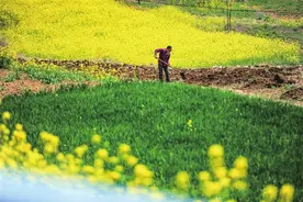 蟒川镇寺上村被推荐为“最美拍摄基地”图片