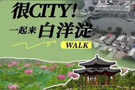 拔节生长看雄安 | 很city！一起来白洋淀walk图片