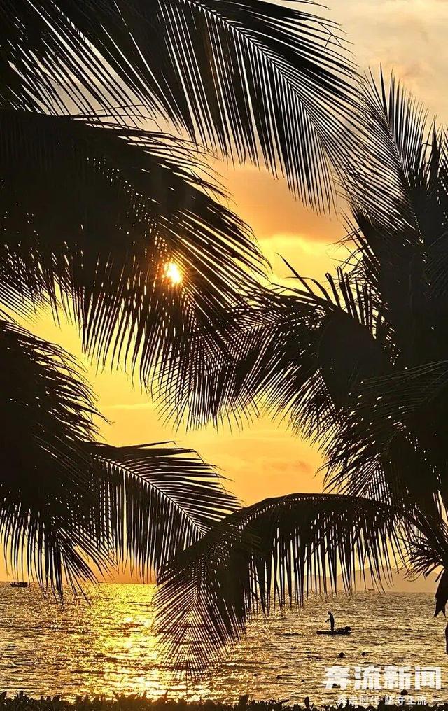 【奔流·浪花】三亚随笔：椰风海韵