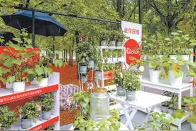 30个“市民花园”扮靓海淀公园图片