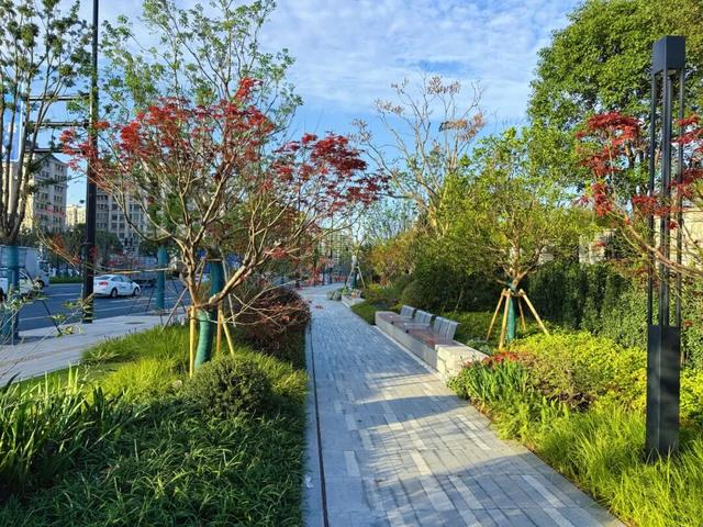 此时的桃浦，已经美成这样了……