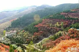 秋天的味道图片