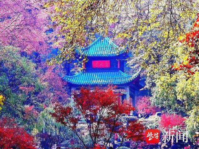 扬州泰州长沙丽江四城穿越之旅，9月2日启航