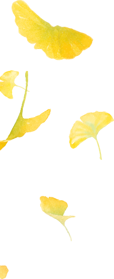 多彩京秋｜最美金秋赏银杏地