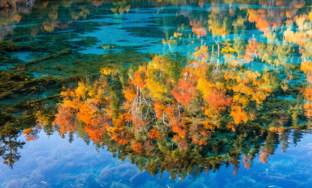 劝你别秋天去九寨沟，因为美得太“犯规”，会不想回来！