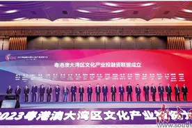 合力构筑大湾区“文化+金融”生态圈图片