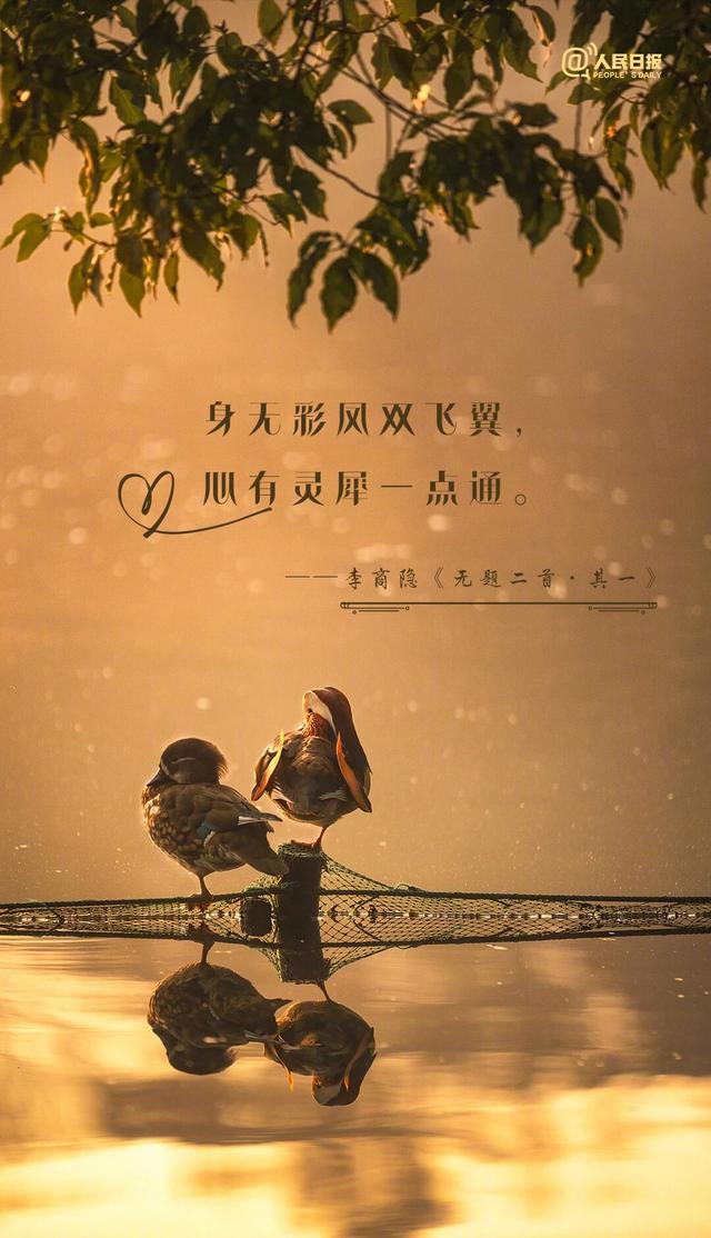 今天七夕节 一起感受中国式浪漫