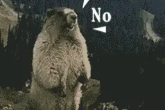 即日起，《离婚证明书》线上办理正式启动！图片