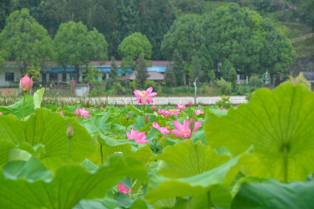 黔西南：一幅流动的清凉山水画卷