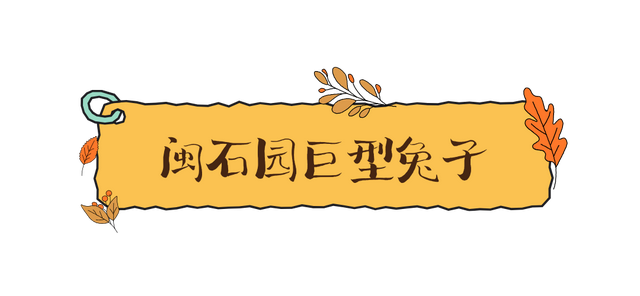 一键入秋！带你进入翔安的金黄秘境