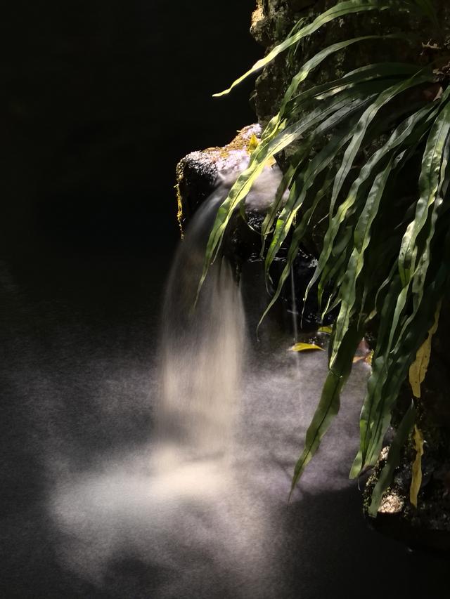 晚潮｜桂语幽境