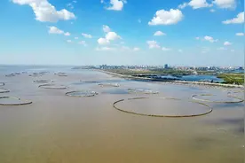上海临港滨海海洋生态保护修复项目竣工 打造滨海湿地生态廊道图片