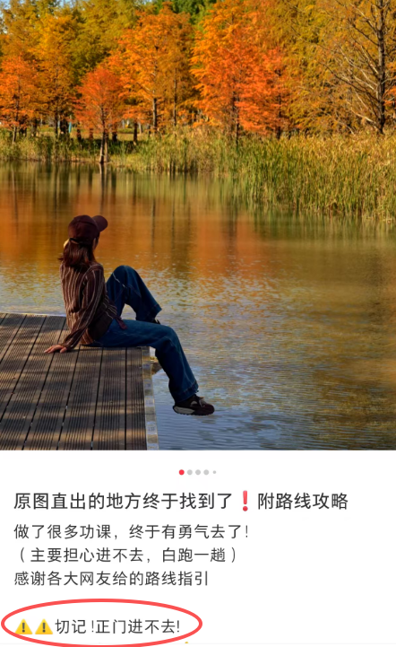 上海有个超美的新公园，未开先火！有人偷偷爬进去、溜进去、翻进去……太危险！