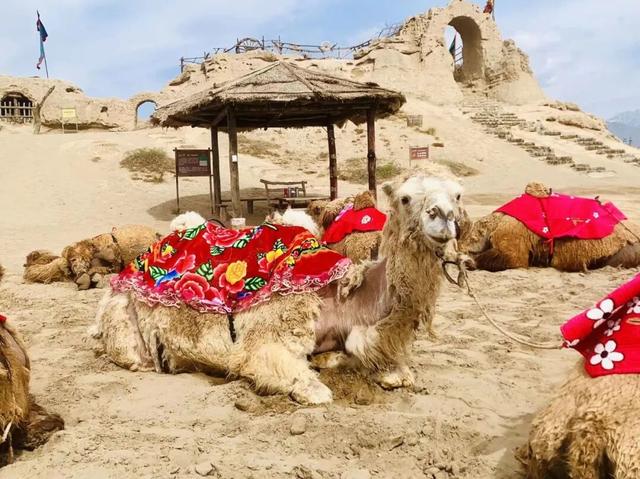 原来你是这样的影城！