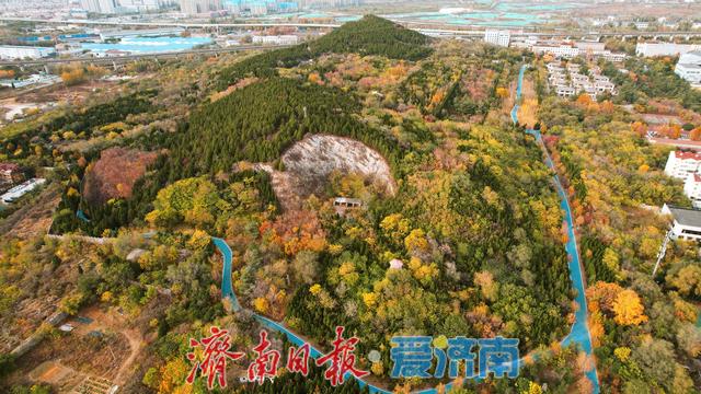 一年四季 泉在济南丨鲍山公园初冬限定美景 层林尽染如铺展天然画卷