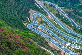 庐江：花开映山红 车在画中行图片