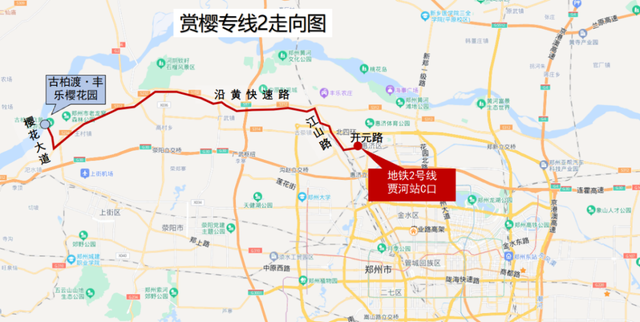 人民公园早樱已开！郑州5个超美樱花观赏地推荐！