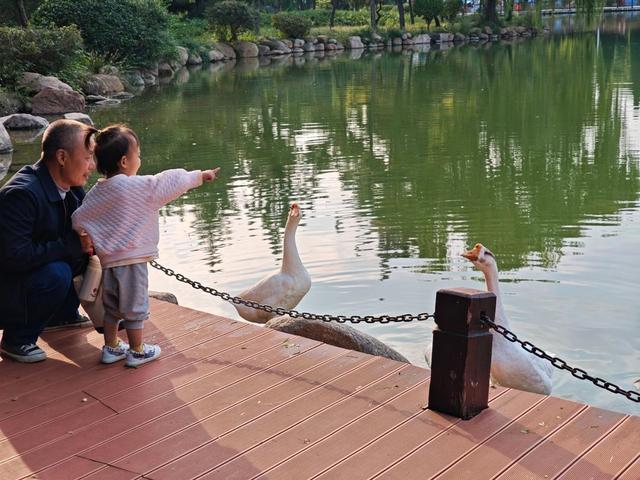 云开雨歇淄博蓝 一城秋色入画来