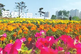 奥体公园等你来“解锁”图片