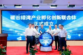 这个联合体成立？图片