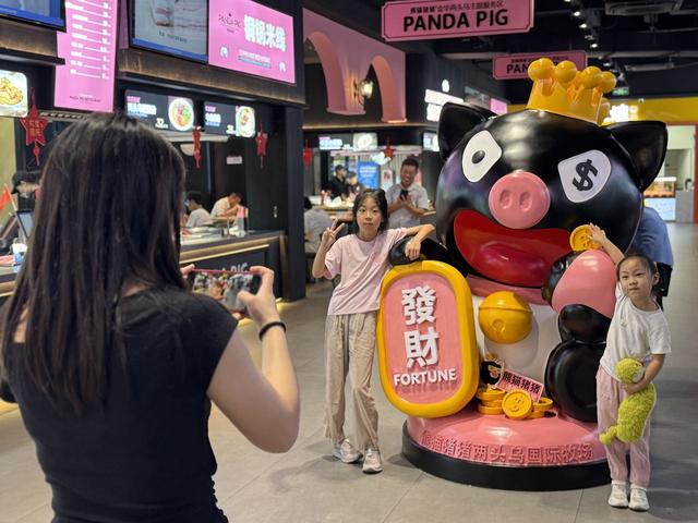 给旅途加点“萌” 金华服务区“两头乌小猪”等你来撸！