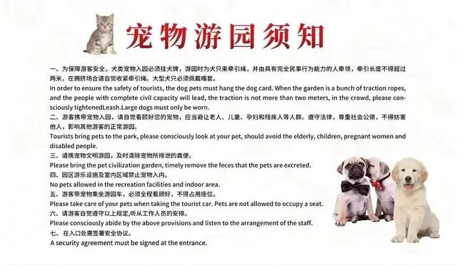 域见上海·域见奉贤｜海湾国家森林公园最新红杉实拍已送达，还有更多攻略等你来看！