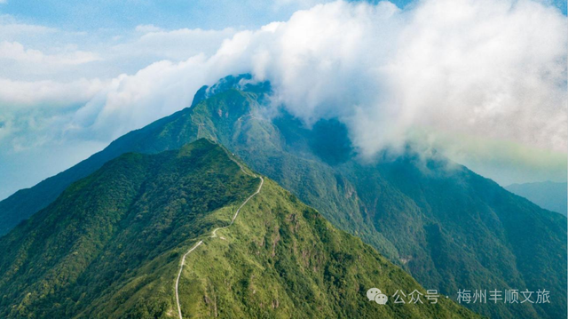 又火了！丰顺铜鼓峰“四大”景观，到底有多美？