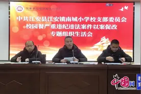 宜宾江安南城小学召开校园餐违纪违法案件以案促改专题组织生活会图片