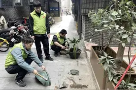 “微管家”赋能无物业小区，广州荔湾探索社区治理新模式图片