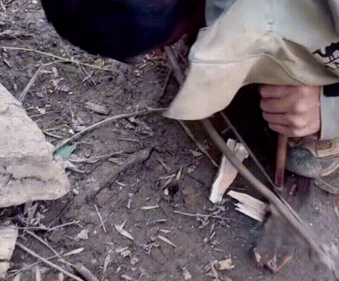 把人饿晕的荒野求生，咋那么多人抢着去？！