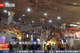 龙年到国家自然博物馆开启“寻龙记”！图片
