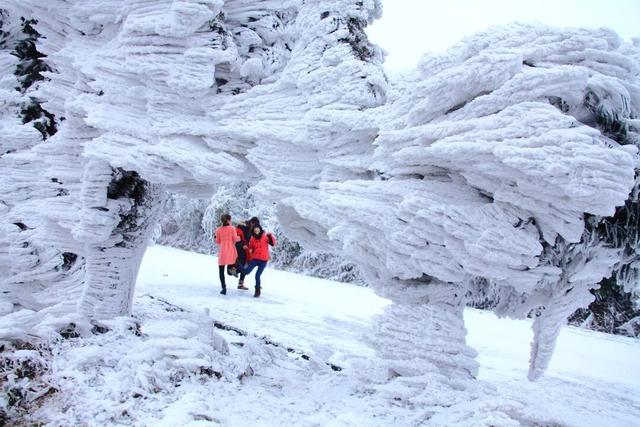 秋冬游资源！雾凇染丹霞，油茶暖红韵，这趟桂北秘境之旅很治愈