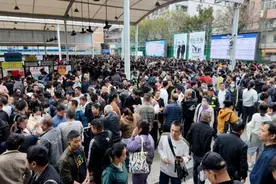 日薪600元，月薪15000元，老板们排队等着被“挑”……近期真的很抢手！图片