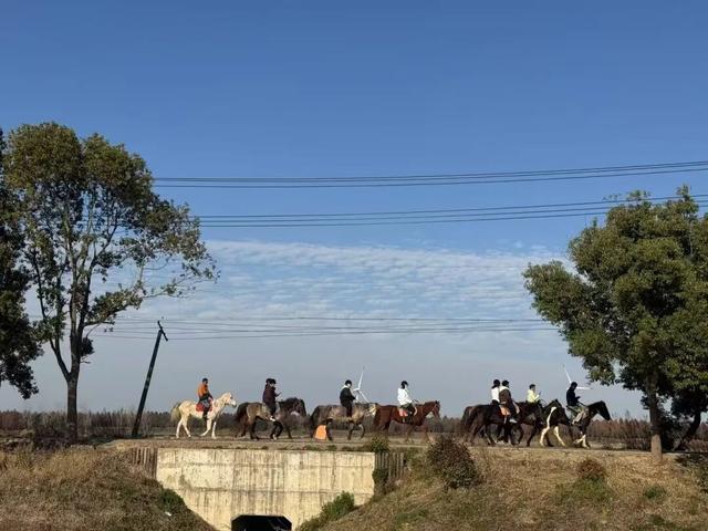 马年寻马趣！盘点崇明3家宝藏骑马场