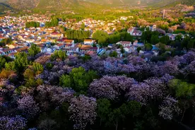 900余万条乡村地名“入网”“上图”  助力乡村高质量发展图片