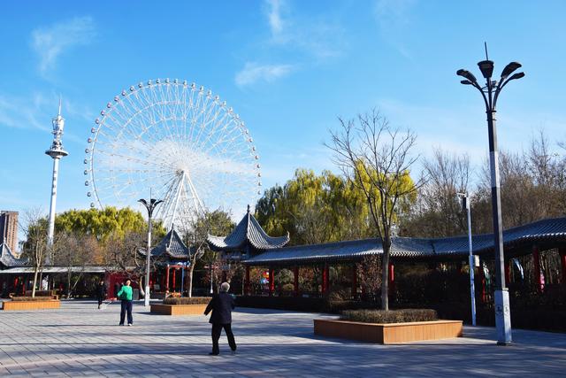 组图丨冬藏雅韵 静赏凉州植物园的温婉时光