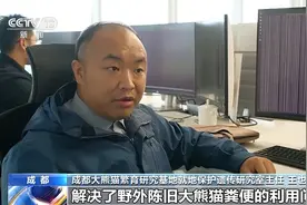 超算助力熊猫野外保护 成都四大实验室组团释放创新活力图片