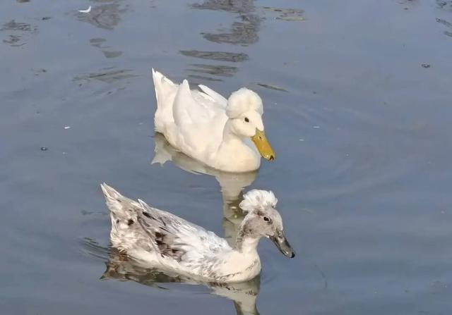 突破18亿！“真实版”就在南京