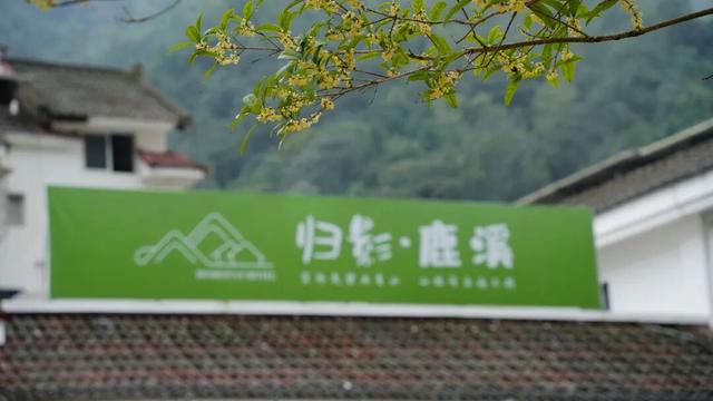 国庆躺平指南：解锁“西部睡谷”，在彭州山野民宿里睡出神仙好眠