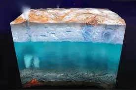 探寻外星生命，科学家为何要以地球生命为参照？图片