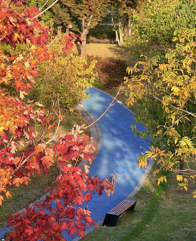 网红纷纷奔赴这！上海这座通往 “欧洲城堡” 的绝美旋梯火了！