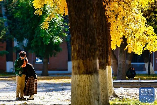 秋声渐杳 斑斓成诗