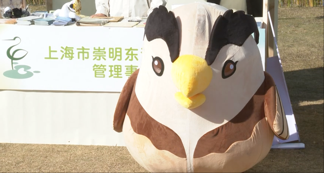 2025崇明东滩观鸟生活季启幕