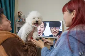 虎鲸“爸爸”，在临港领证安家图片