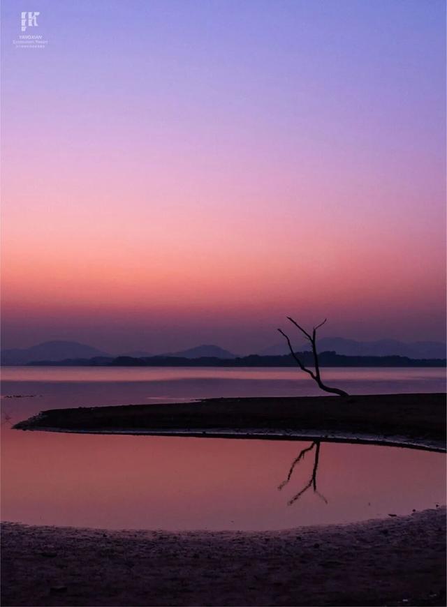 现在的宜兴，已经美成这样了……