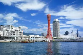 4月中旬起，上海、南京可直飞神户赏樱花品美食图片