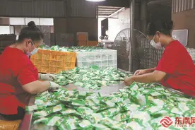 南靖生产开发的多种竹笋食品畅销市场图片