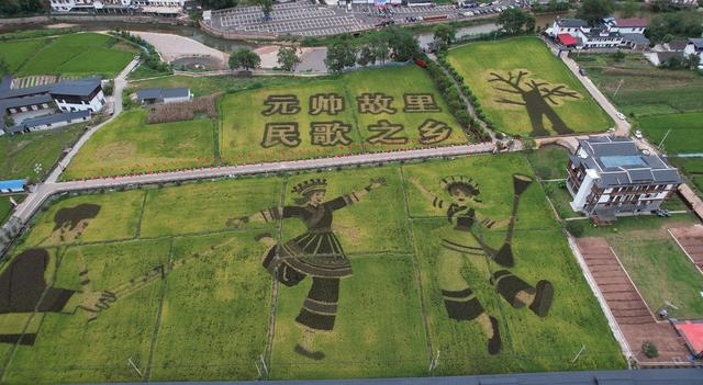 桑植“七月二十一”赶会联动村歌赛，重庆首发团乘高铁赴文旅盛宴