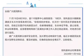 老虎进村咬伤村民，官方最新通报！被咬伤村民家属：左手不一定能保住图片