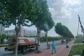 综合执法局园林公园管理中心开展园林绿化夏季病虫害防治工作图片